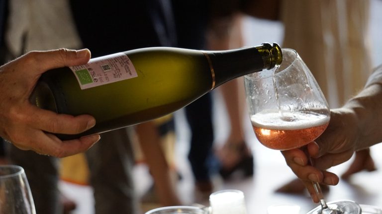 287488492 5304323686295316 2633606400068448069 n 1 768x432