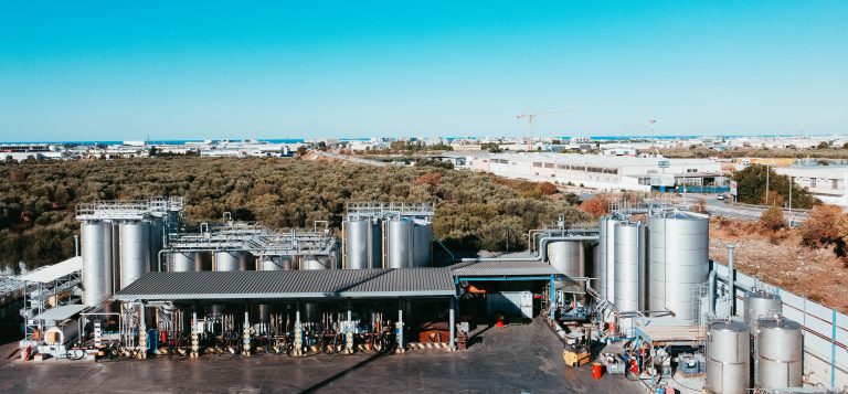 Azienda Nicola Veronico 2 1 768x357