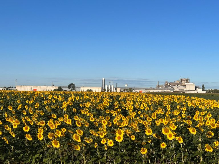 IMG 20230913 WA0002 768x576