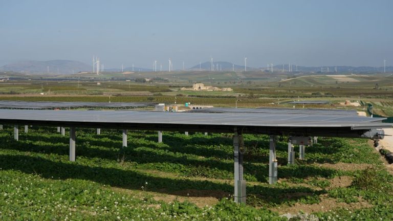 VED09051 ytQHAk P 768x432