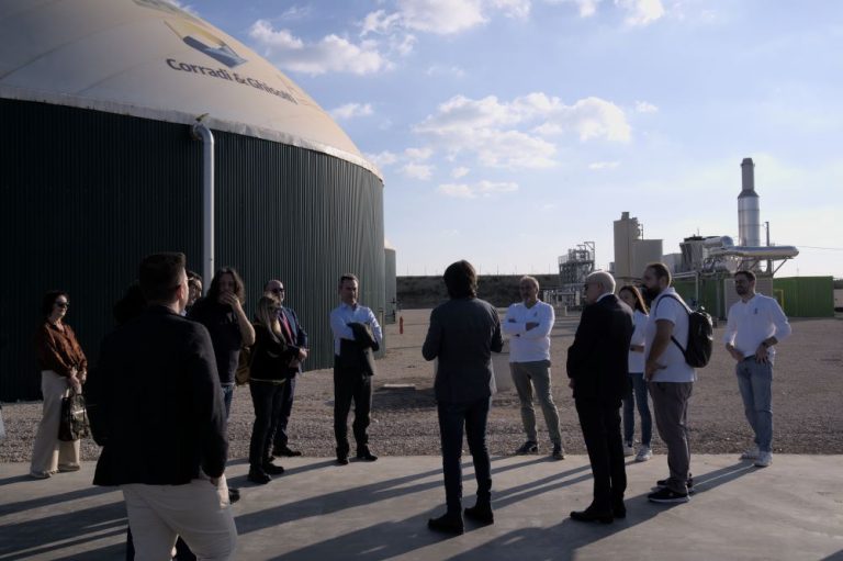 DSC04047 DclM19  2  768x511