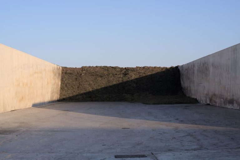 DSC04132 DclM19 R 768x511